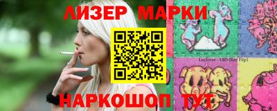 индика Гатчина