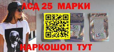 индика Гатчина