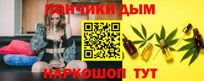 индика Гатчина