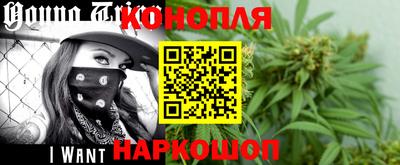 индика Гатчина