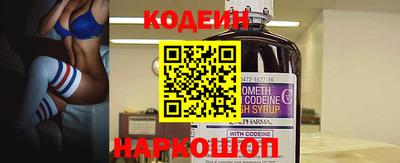 индика Гатчина