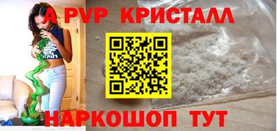 индика Гатчина