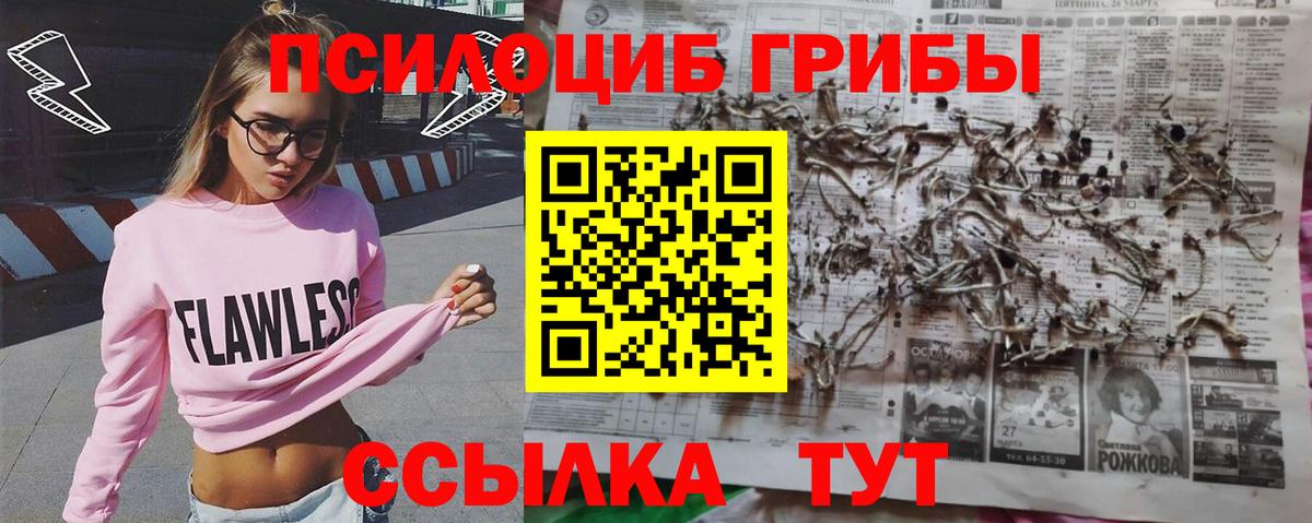 Галлюциногенные грибы мухоморы  магазин  наркотиков  Нерюнгри  Псилоцибиновые грибы Psilocybe  Вход с VPN 